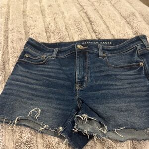 American Eagle Outfitters Blue Jean Shorts